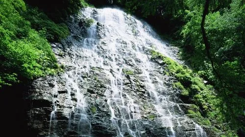 节能数字化智能系统